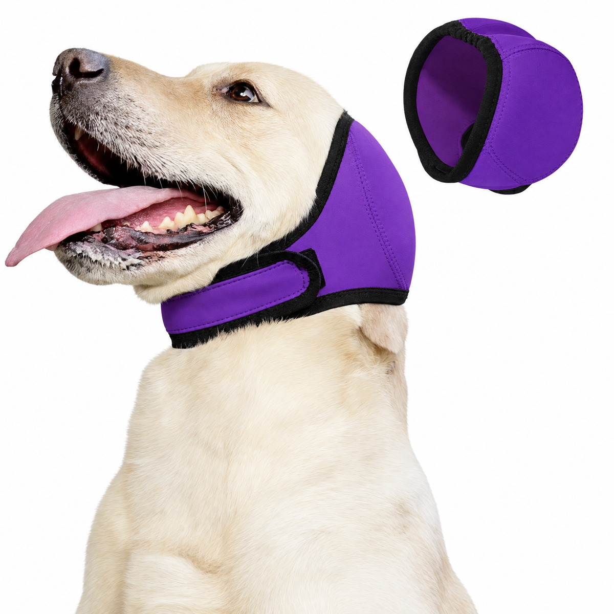 Noise-Blocking Ear Protection for Dogs & Cats
